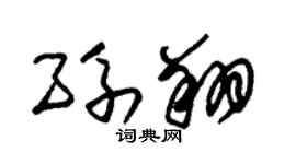 朱锡荣孙翔草书个性签名怎么写