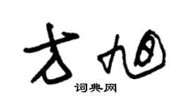 朱锡荣方旭草书个性签名怎么写