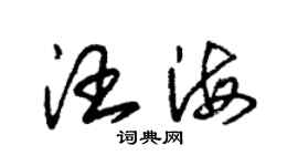 朱锡荣汪海草书个性签名怎么写