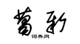 朱锡荣葛新草书个性签名怎么写