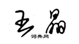 朱锡荣王晶草书个性签名怎么写