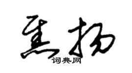 朱锡荣焦扬草书个性签名怎么写