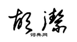 朱锡荣胡洁草书个性签名怎么写
