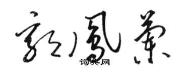骆恒光郭凤兰草书个性签名怎么写
