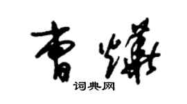 朱锡荣曹烨草书个性签名怎么写