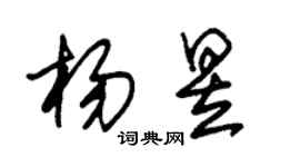 朱锡荣杨昱草书个性签名怎么写
