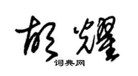 朱锡荣胡耀草书个性签名怎么写