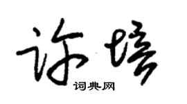 朱锡荣许培草书个性签名怎么写