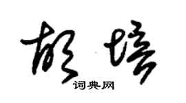 朱锡荣胡培草书个性签名怎么写