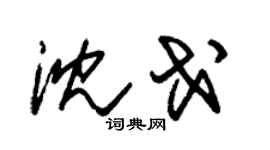 朱锡荣沈戈草书个性签名怎么写