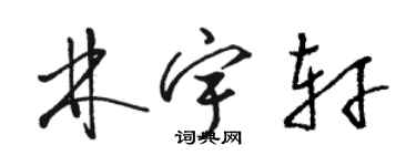 骆恒光林宇轩草书个性签名怎么写