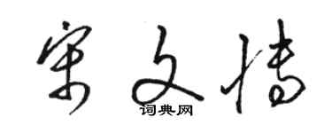 骆恒光宋文博草书个性签名怎么写