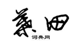 朱锡荣叶田草书个性签名怎么写