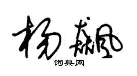 朱锡荣杨飚草书个性签名怎么写
