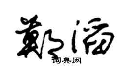 朱锡荣郑滔草书个性签名怎么写