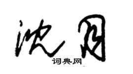 朱锡荣沈月草书个性签名怎么写