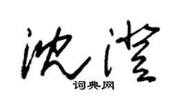 朱锡荣沈澄草书个性签名怎么写