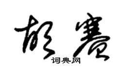 朱锡荣胡赛草书个性签名怎么写