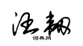 朱锡荣汪韧草书个性签名怎么写