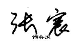 朱锡荣张宸草书个性签名怎么写