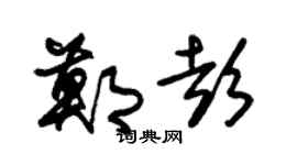 朱锡荣郑彭草书个性签名怎么写