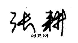 朱锡荣张耕草书个性签名怎么写