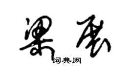 朱锡荣梁展草书个性签名怎么写