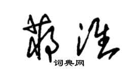 朱锡荣蒋淮草书个性签名怎么写