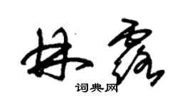 朱锡荣林露草书个性签名怎么写