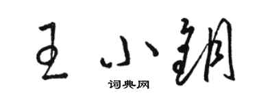 骆恒光王小钥草书个性签名怎么写