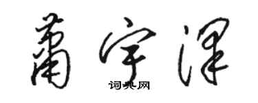 骆恒光萧宇泽草书个性签名怎么写