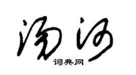 朱锡荣汤河草书个性签名怎么写