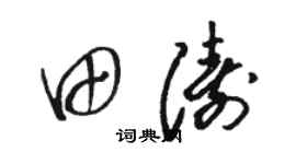 骆恒光田涛草书个性签名怎么写