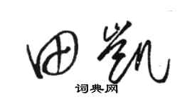 骆恒光田凯草书个性签名怎么写