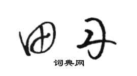 骆恒光田丹草书个性签名怎么写