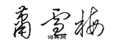 骆恒光萧雪梅草书个性签名怎么写