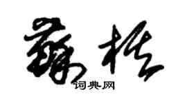 朱锡荣苏棋草书个性签名怎么写