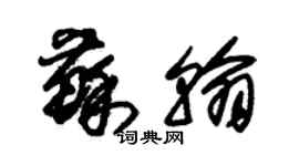 朱锡荣苏翰草书个性签名怎么写