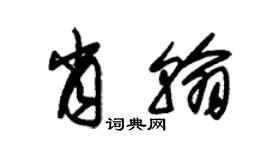 朱锡荣肖翰草书个性签名怎么写