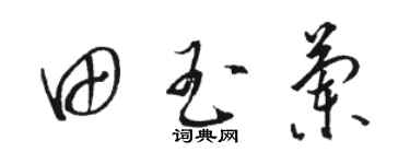 骆恒光田玉兰草书个性签名怎么写