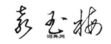 骆恒光袁玉梅草书个性签名怎么写
