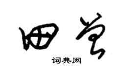 朱锡荣田曾草书个性签名怎么写