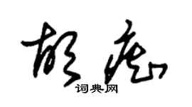 朱锡荣胡痴草书个性签名怎么写