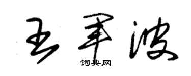 朱锡荣王军波草书个性签名怎么写