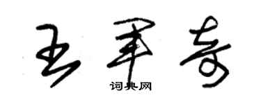 朱锡荣王军奇草书个性签名怎么写