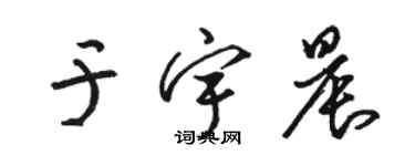 骆恒光于宇晨草书个性签名怎么写