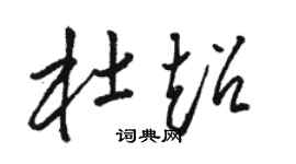 骆恒光杜超草书个性签名怎么写