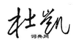 骆恒光杜凯草书个性签名怎么写