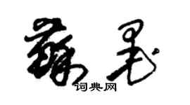 朱锡荣苏墨草书个性签名怎么写