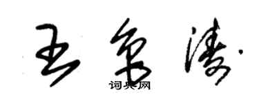 朱锡荣王鲁涛草书个性签名怎么写